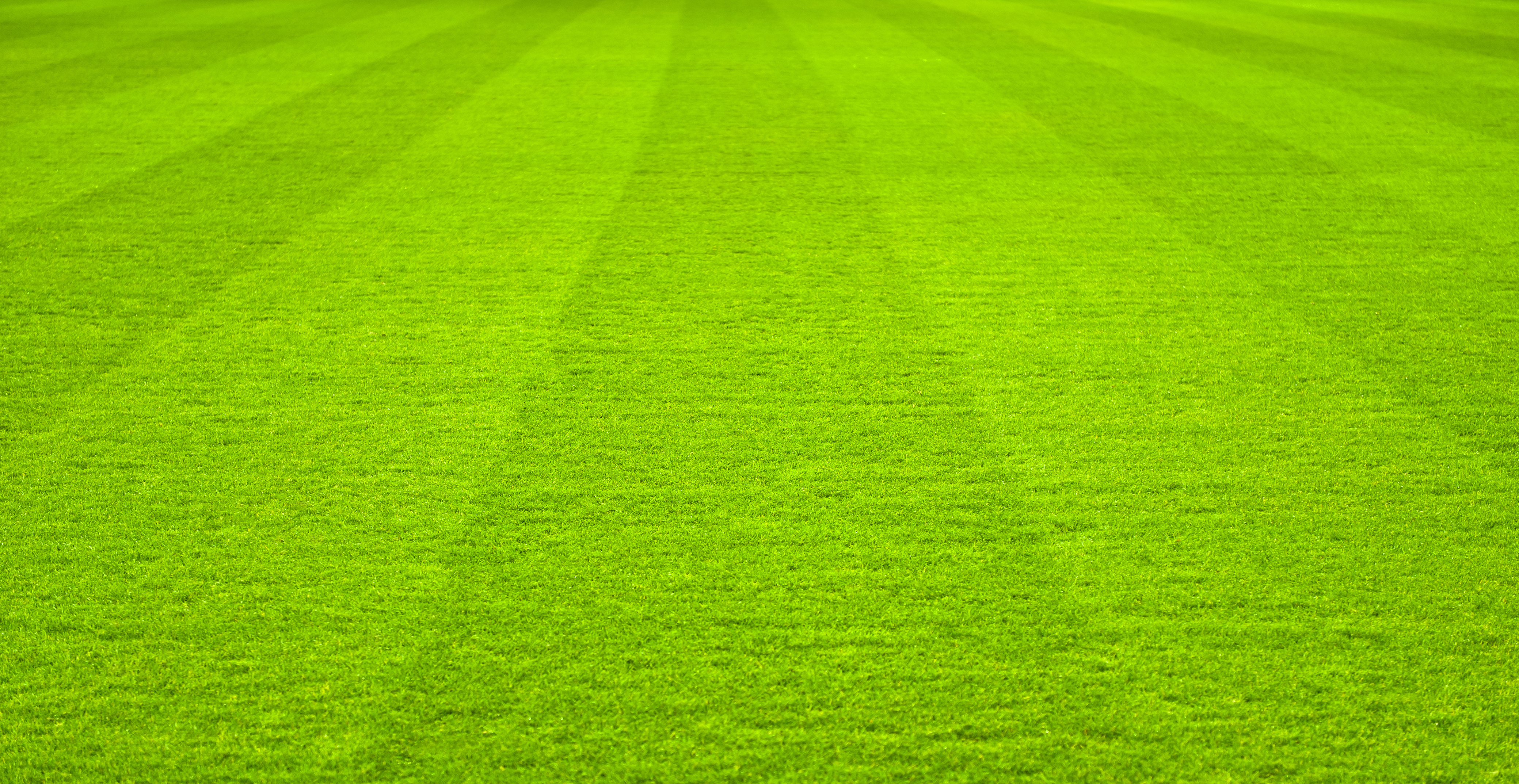 Green Grass soccer field